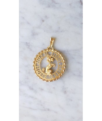 Pendentif Or jaune Caniche Je Suis Fidèle Je Reste Fidèle acheter