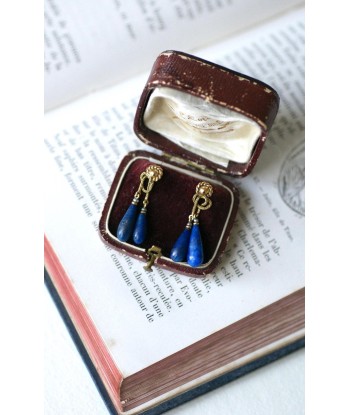 Boucles d'Oreilles Goutte Lapis Lazuli sur Or Jaune ouvre sa boutique