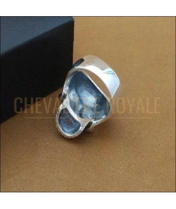 Chevalière pour homme en argent tète sèche remarquable des créatures d'habitude