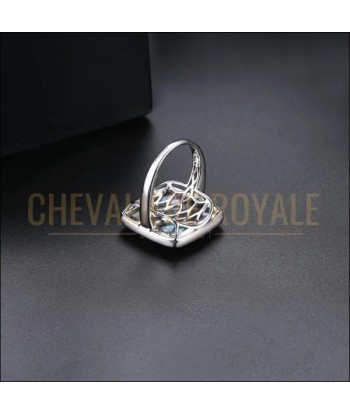 Chevalière pour femme en argent bague abalone la source du mystère outlet